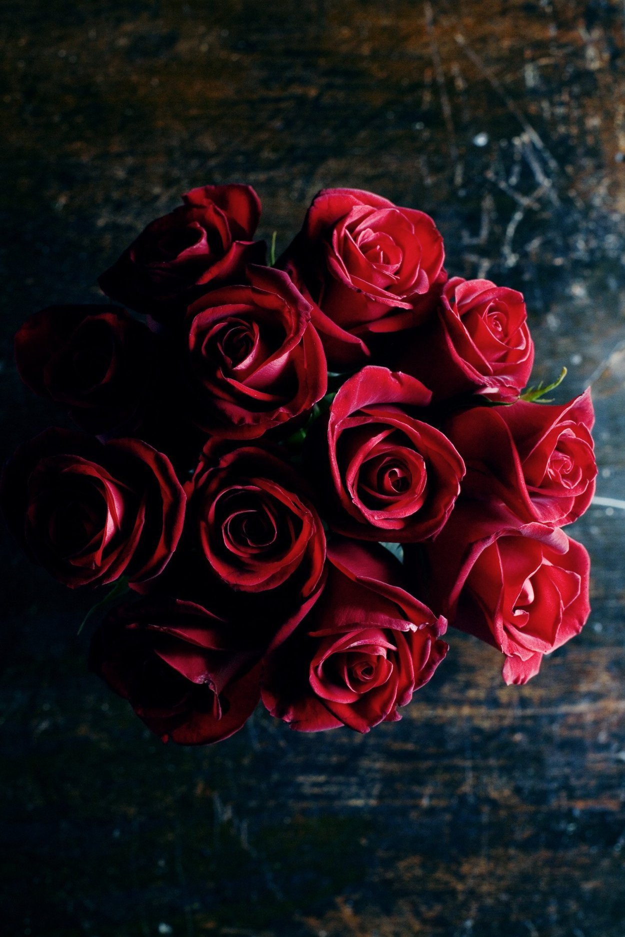 Темно красные розы