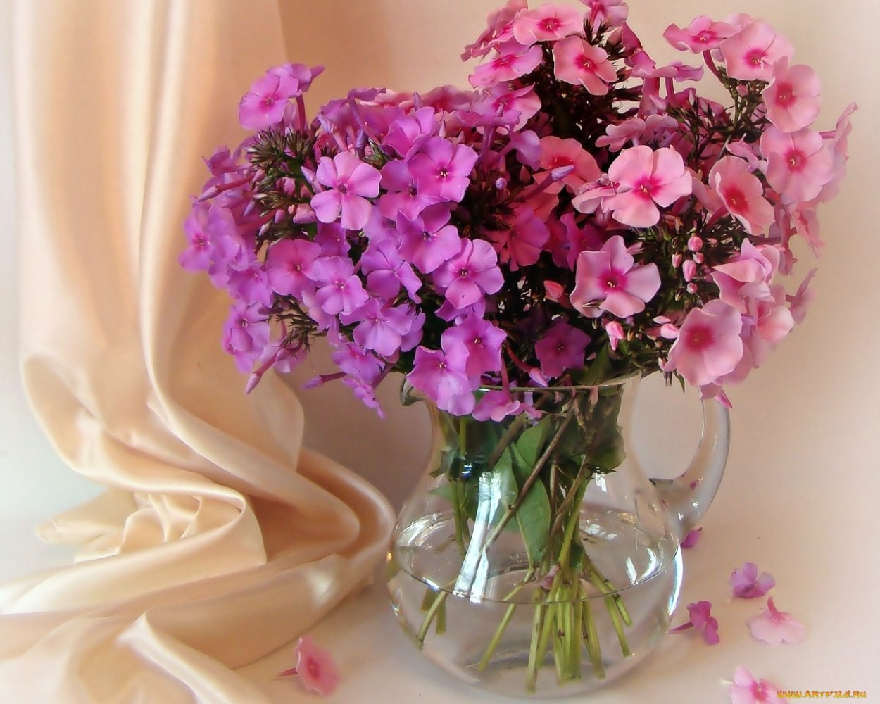 Самые красивые цветы в вазе