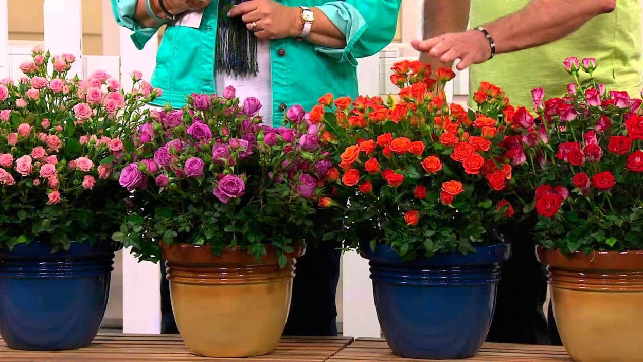 Кашпо на балконе с петуньей