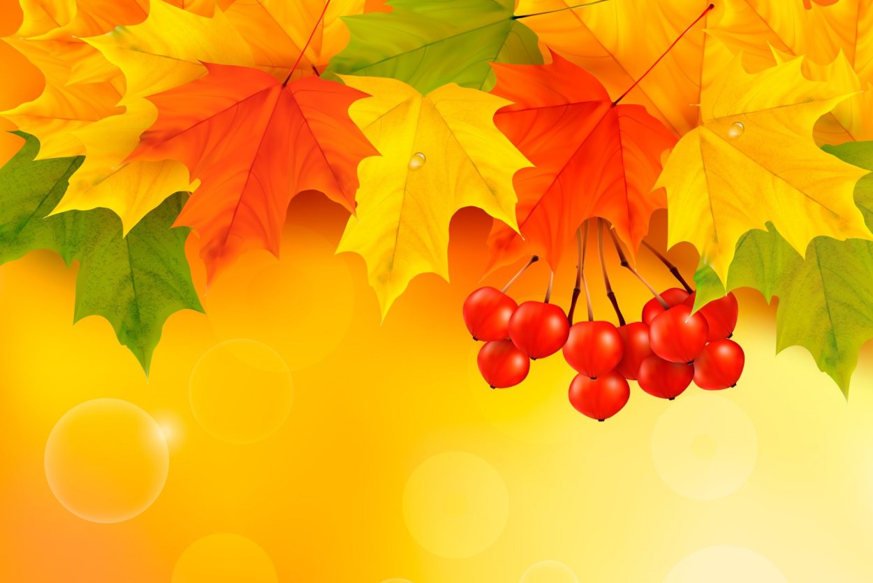 Анфиса Рябинница