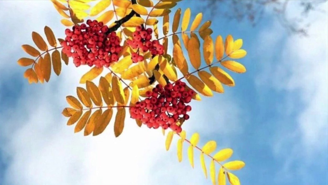 Осенний берег