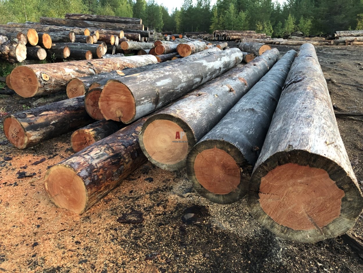 Полубревно Kelo