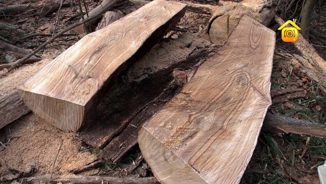 Изделия из сухостоя дуба