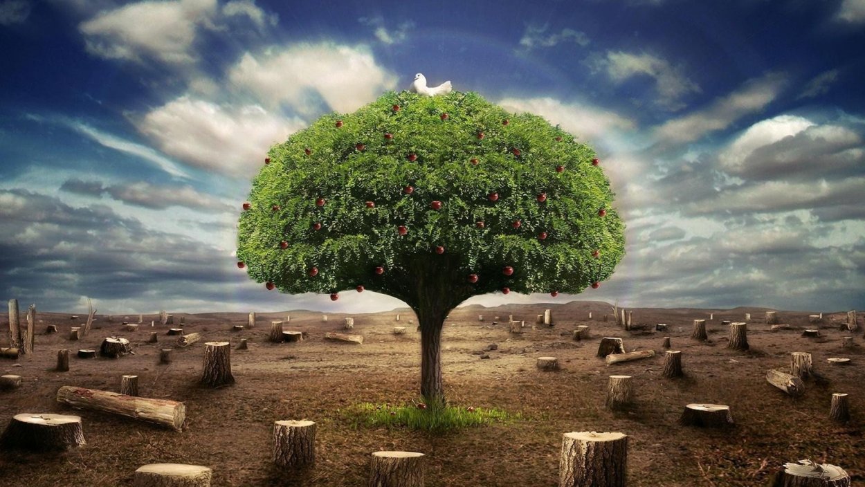 Разрушение природы