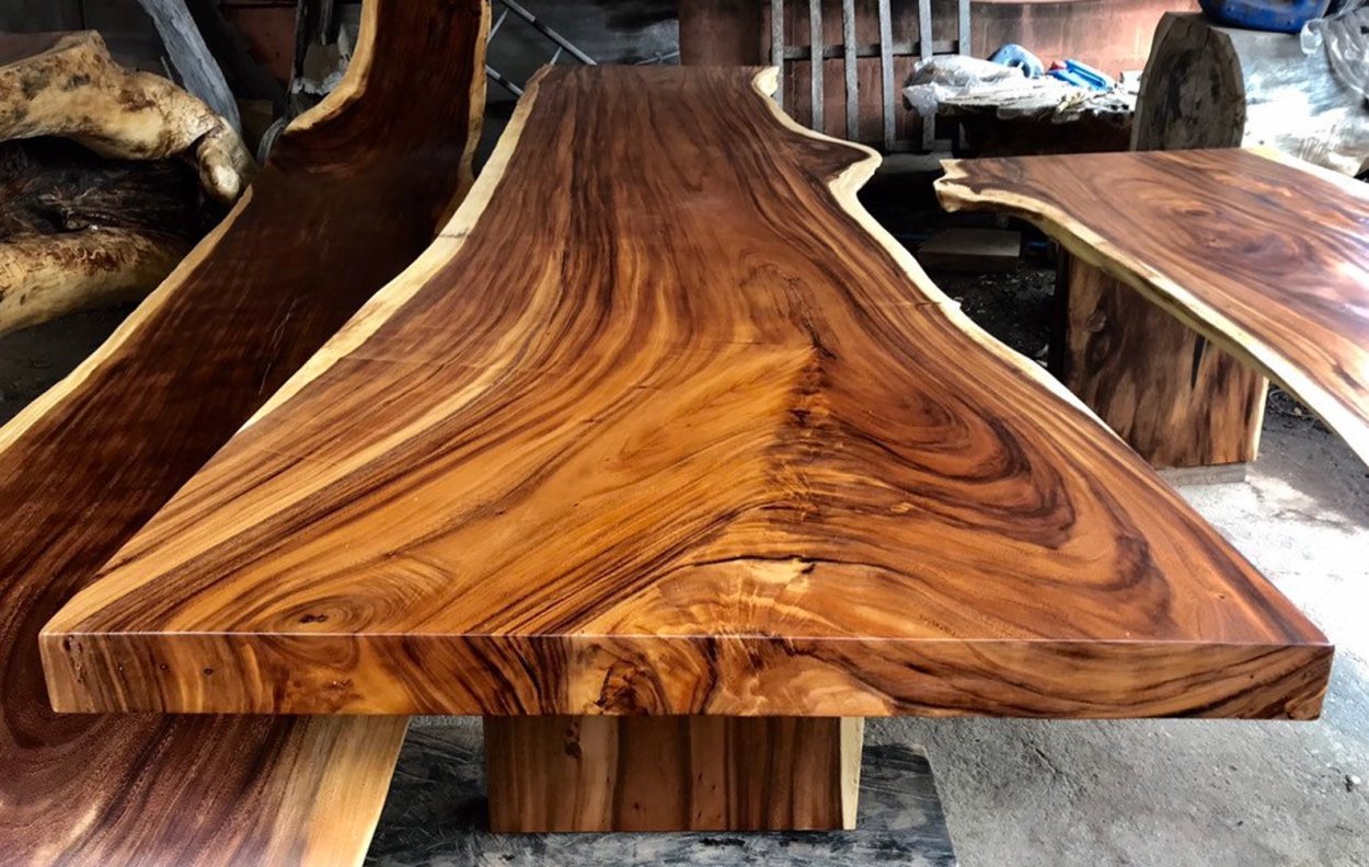 Акация слэб