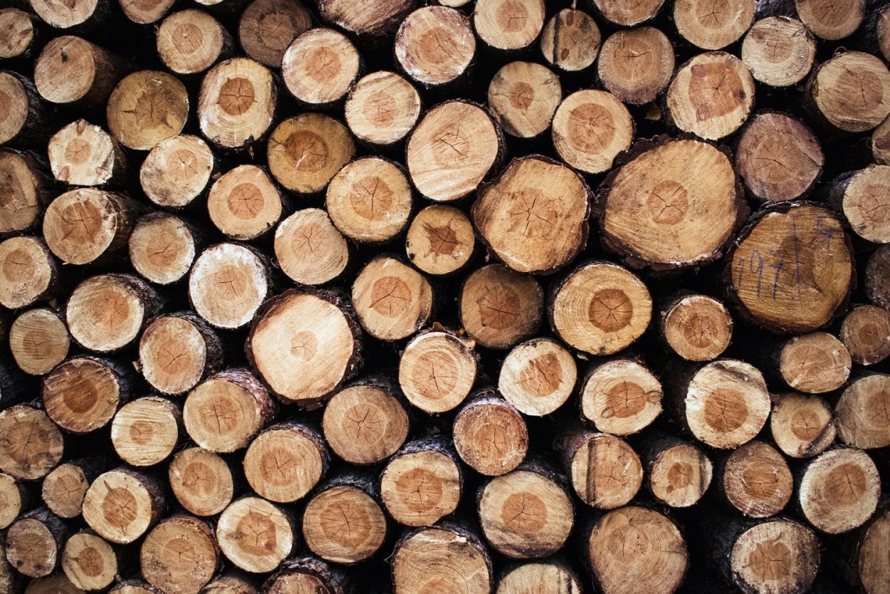 Плато Путорана природа