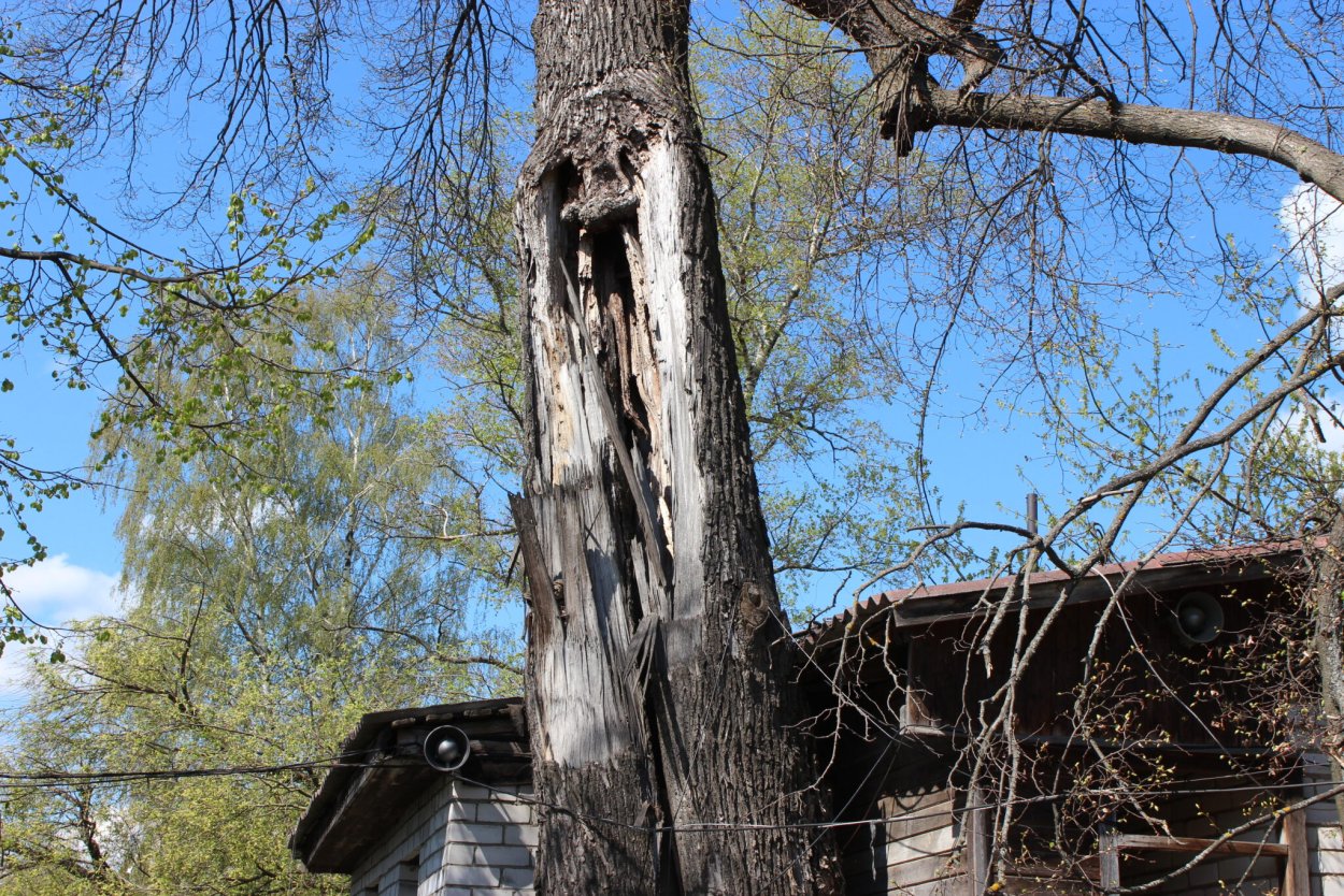 Амбарная доска в интерьере