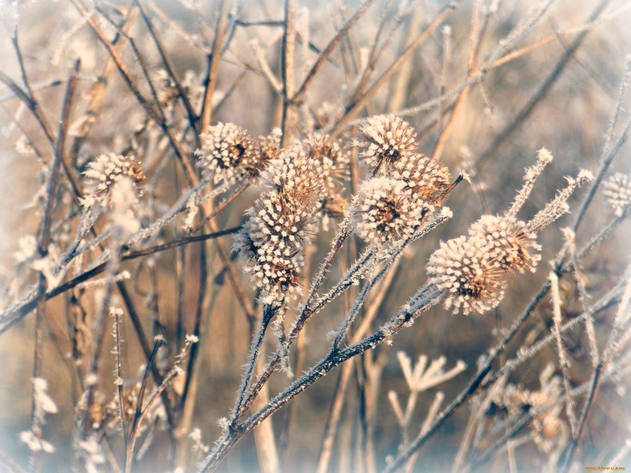 Обои на рабочий стол ноябрь