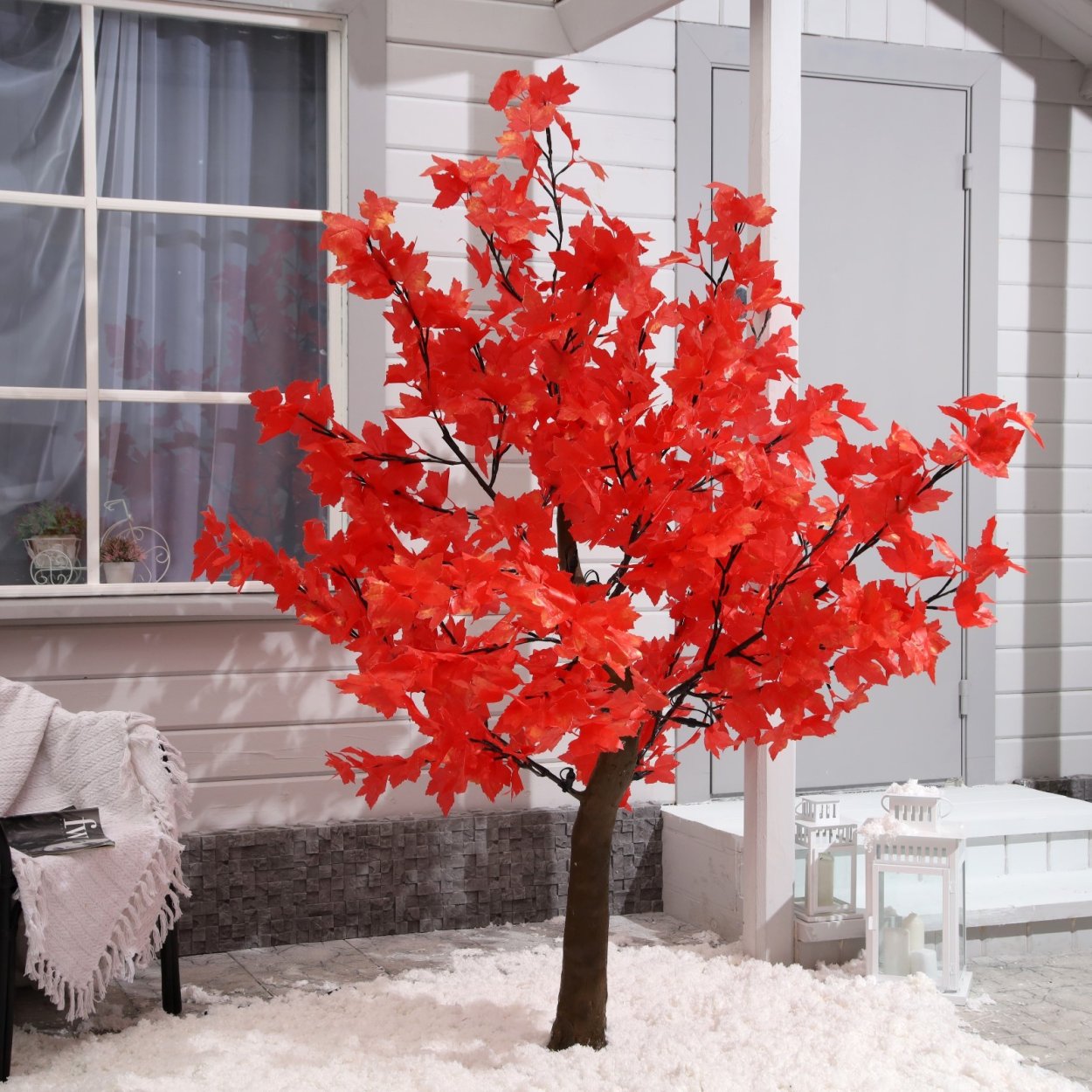 Клен канадский остролистный