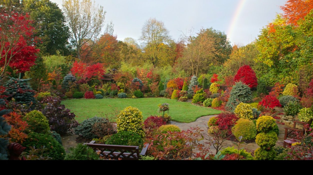 Осенний ландшафт сада