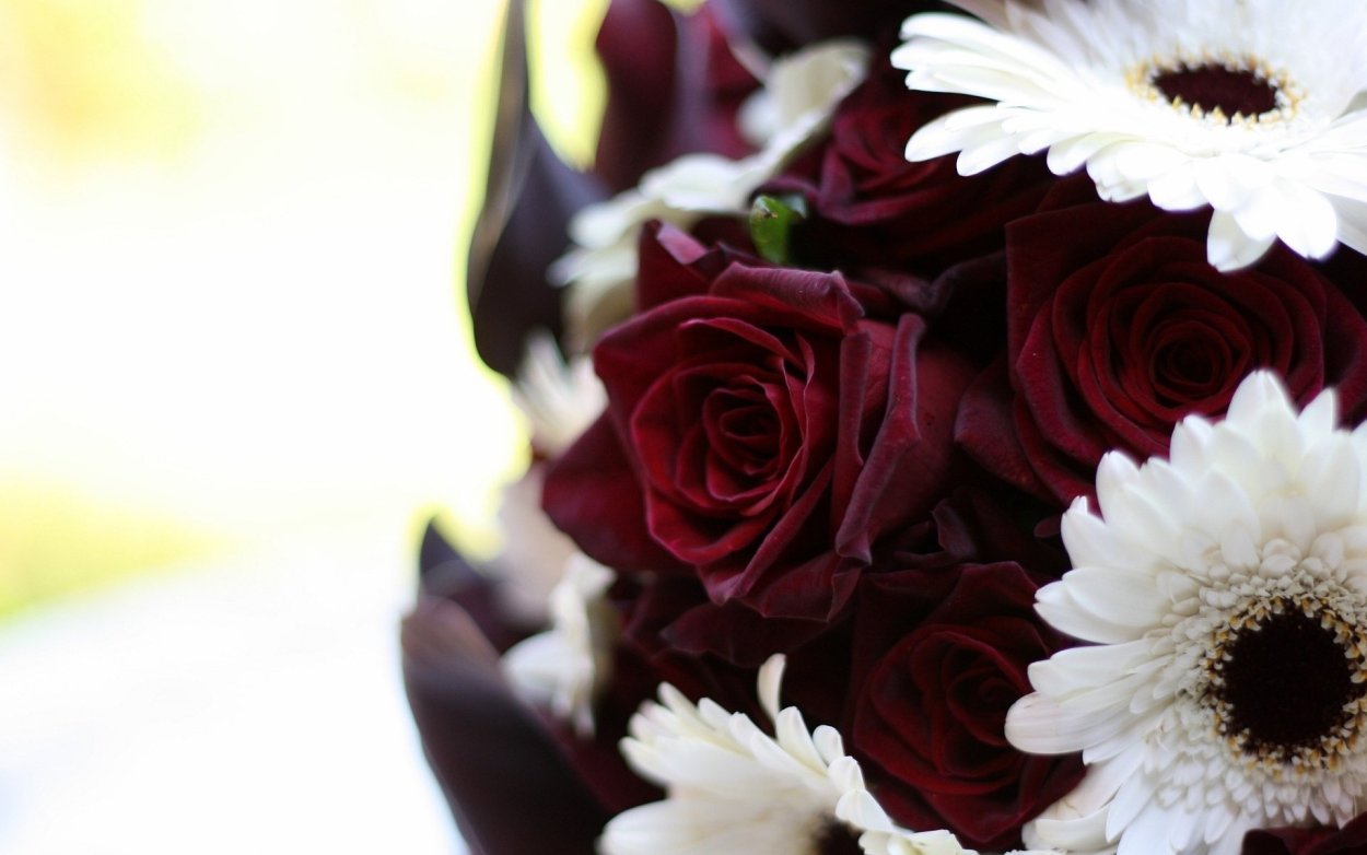 Бордовые цветы