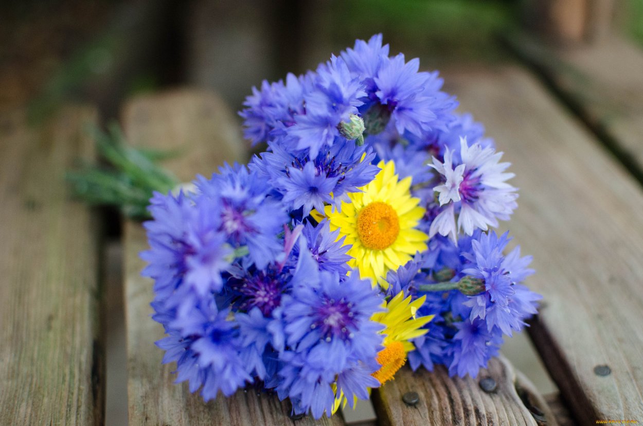 Букет с васильками