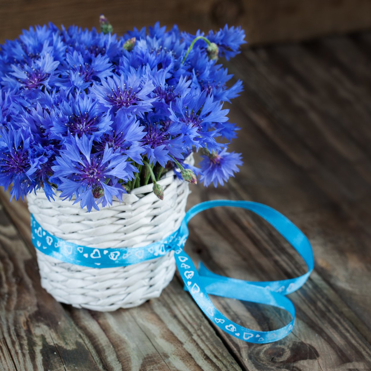 Ромашки и васильки букет