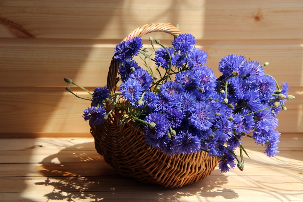 Эмменеггер букет Васильков