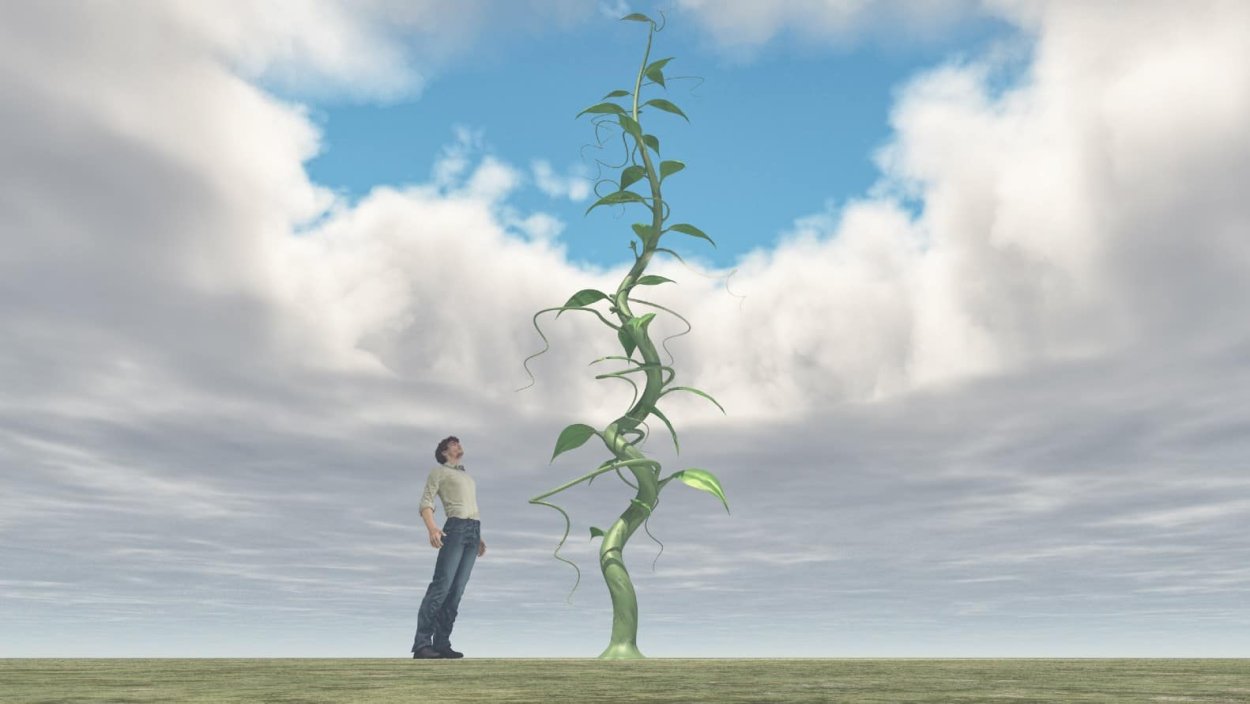 Багровый стебель