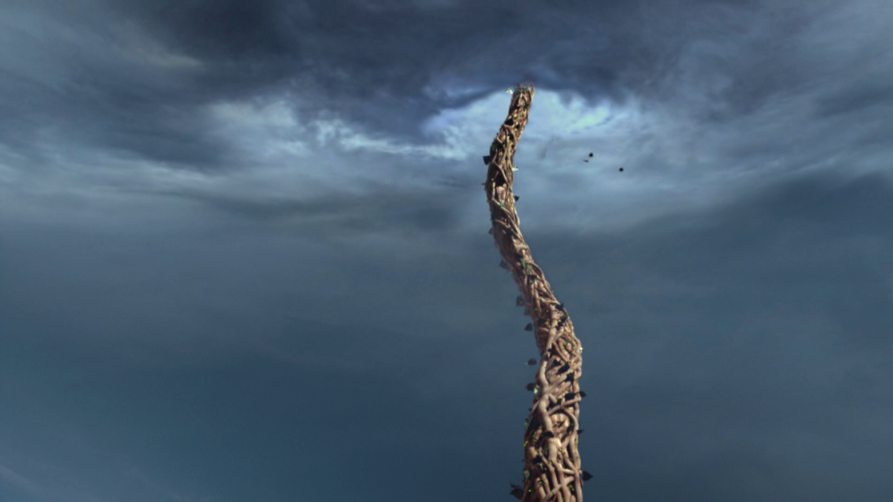 Гледичия дерево фрукт