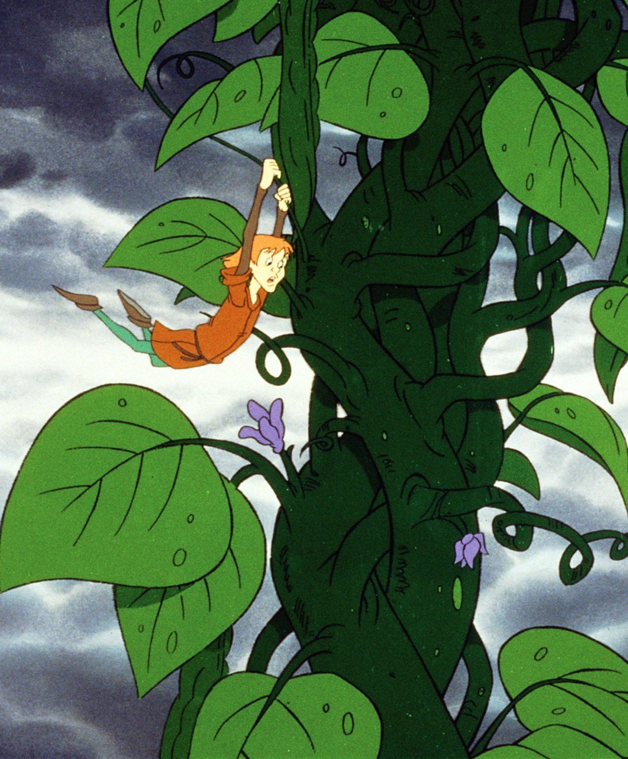 Джек и бобовый стебель мультфильм