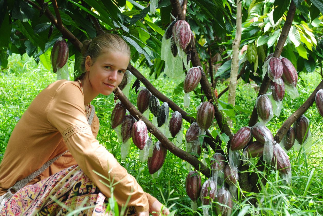 Джек и бобовое дерево