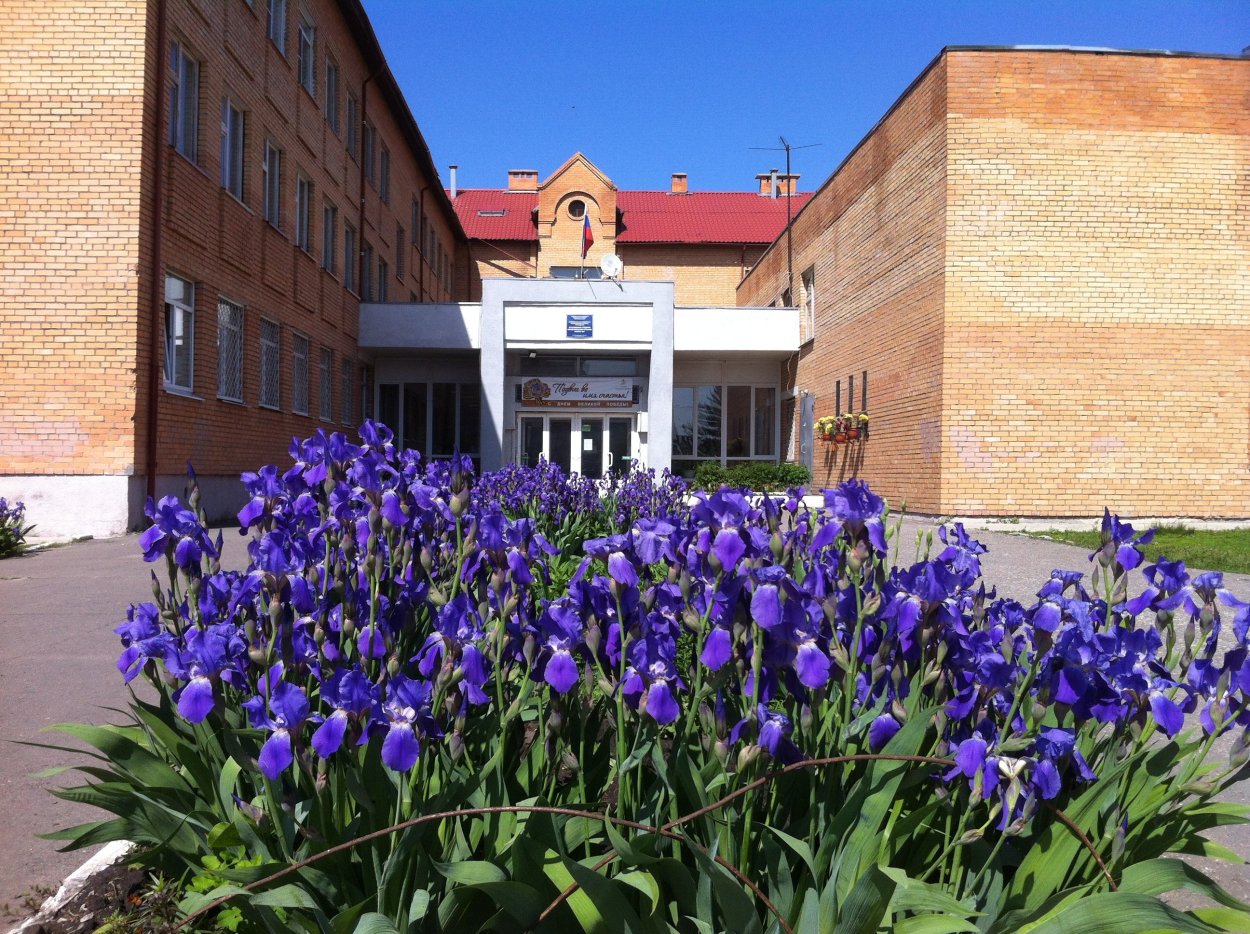 Цветы и небо