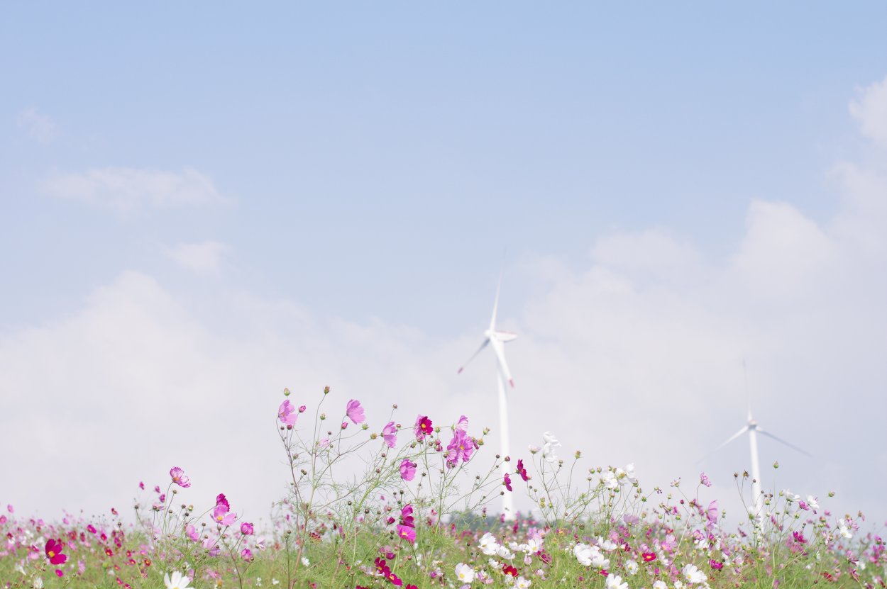 Фиолетовые обои