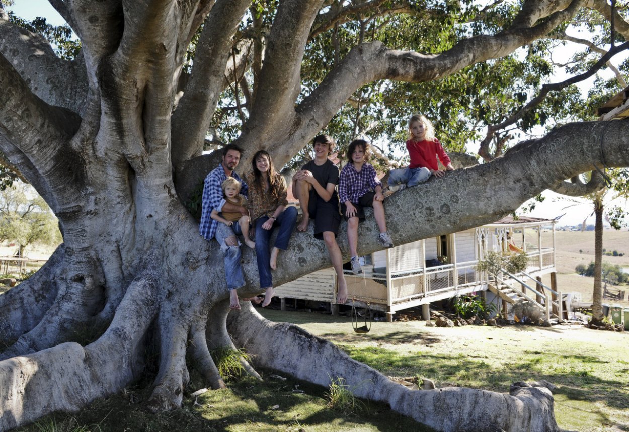 Дерево / the Tree (2010)