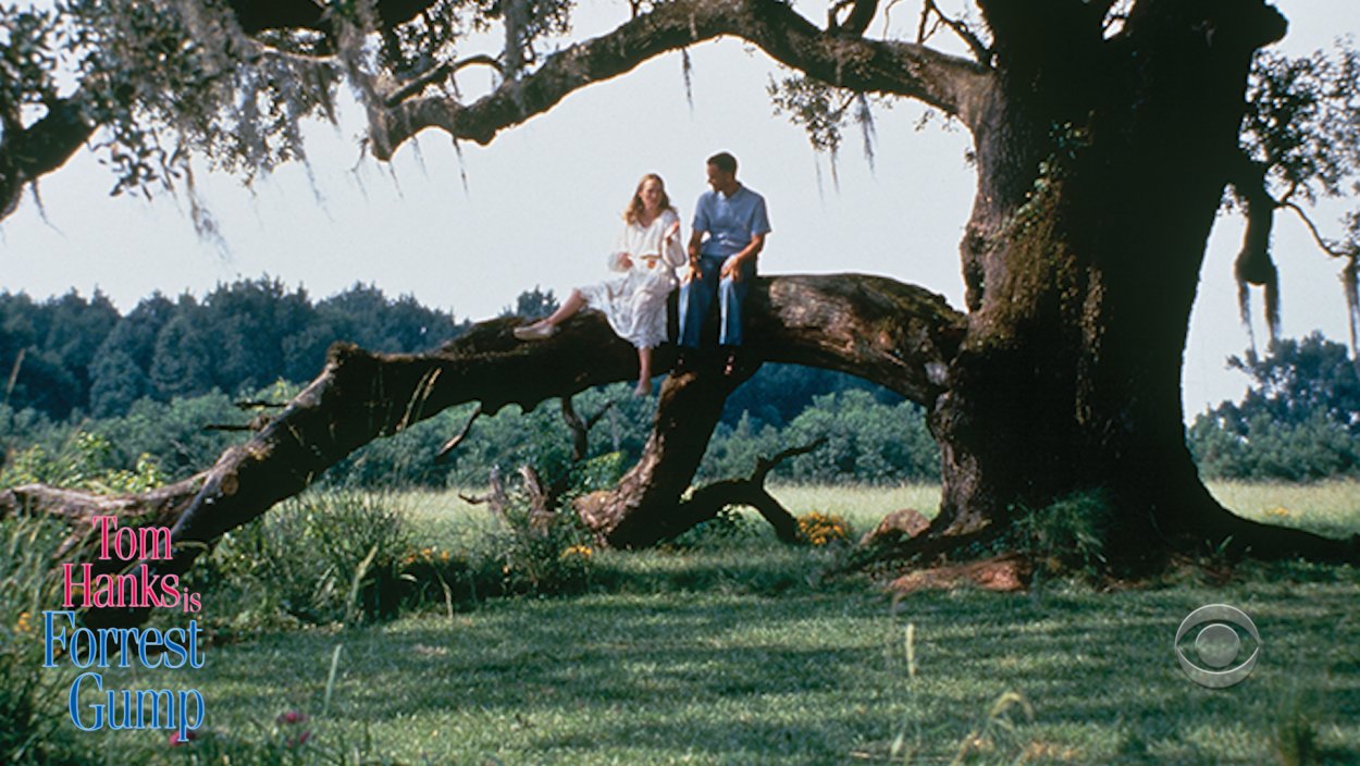 Любовь Форрест Гамп Дженни