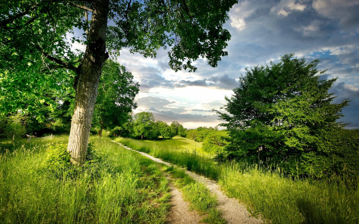Летний пейзаж фото