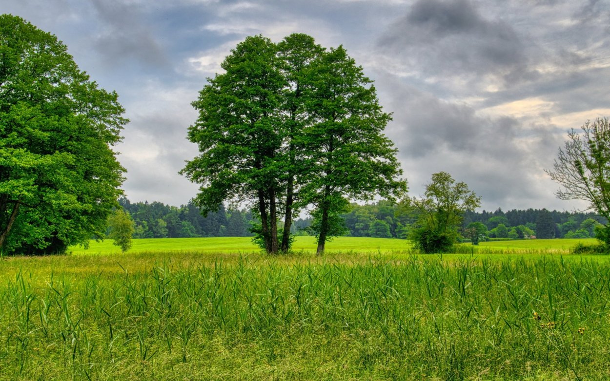 Летний пейзаж фото