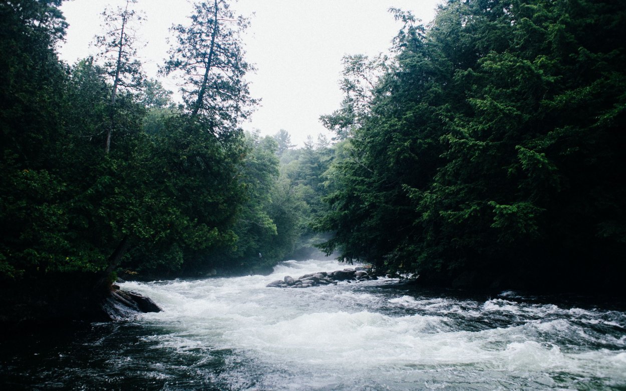 Быстрая река