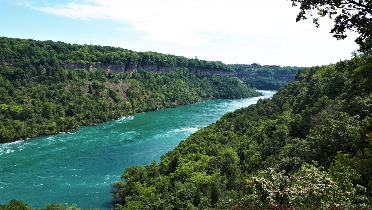 Обои Лазурная речка деревья Канны