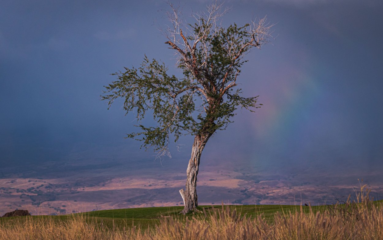 Фоновый рисунок на рабочий стол природа