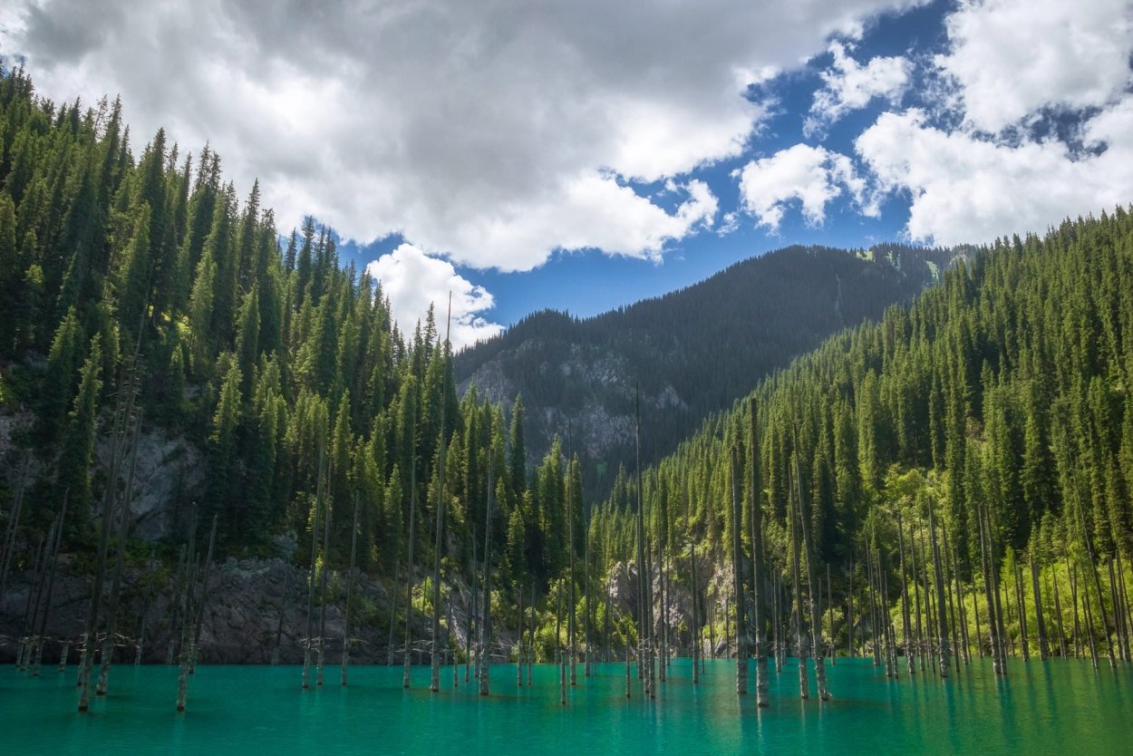 Природа Қазақстана