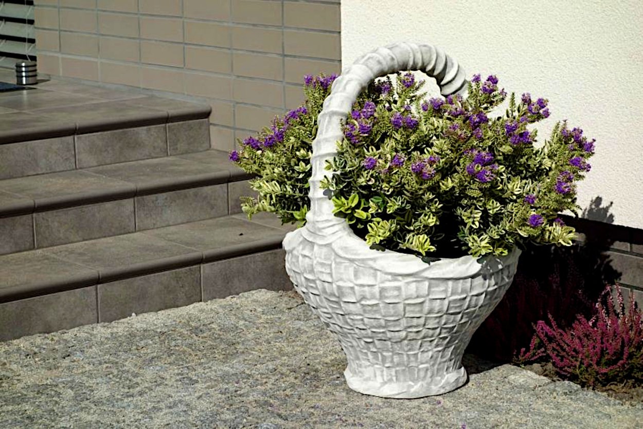 Контейнерное Озеленение пеларгония