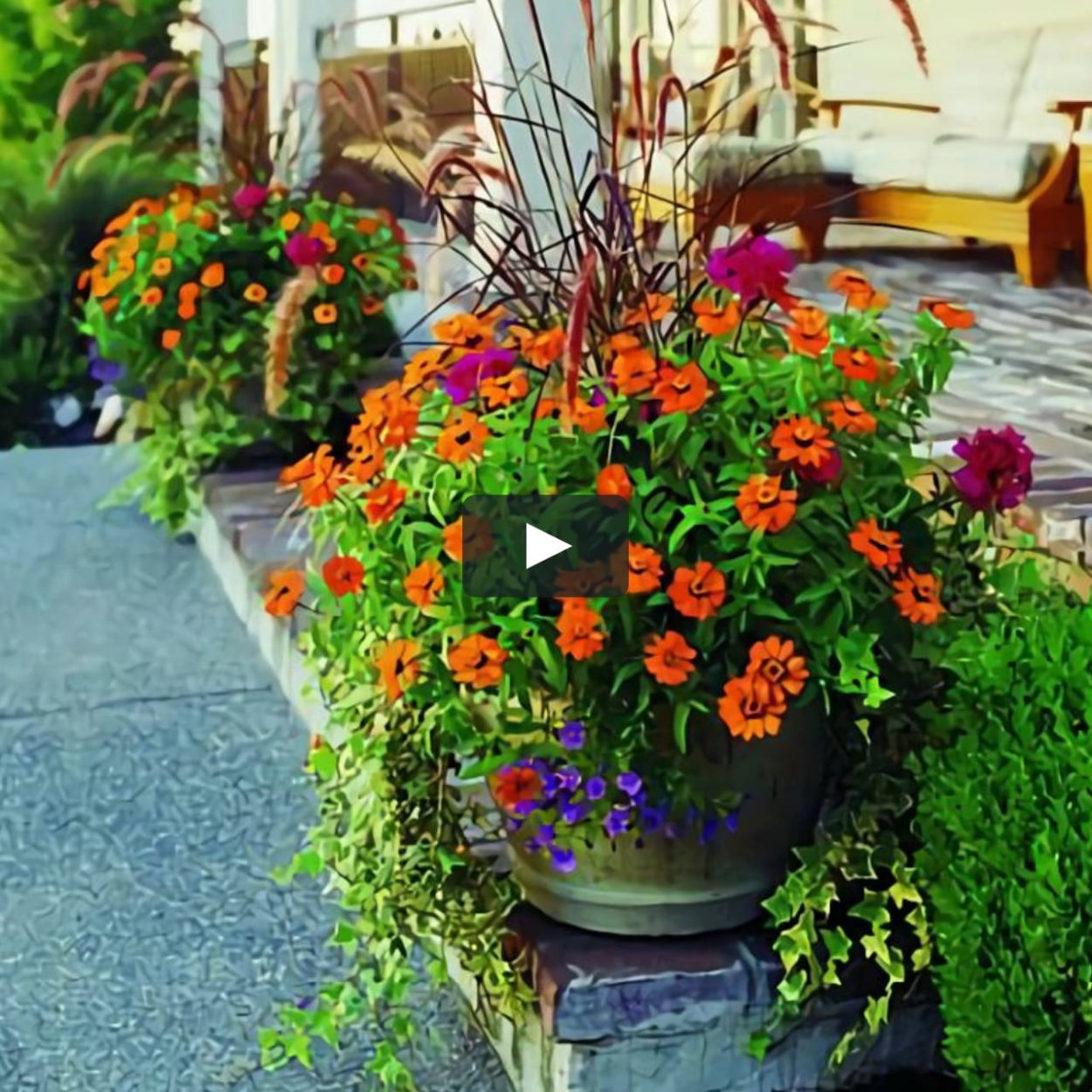 Красивые цветы в горшках