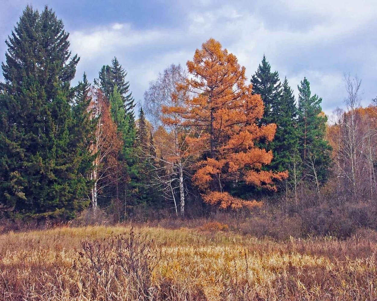Улаганский хребет