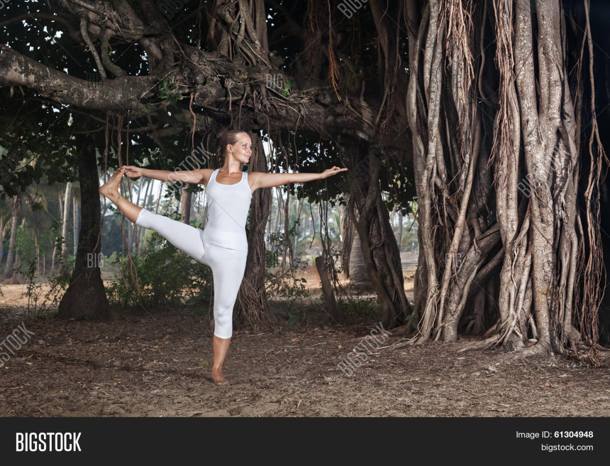 Фикус бенгальский душитель