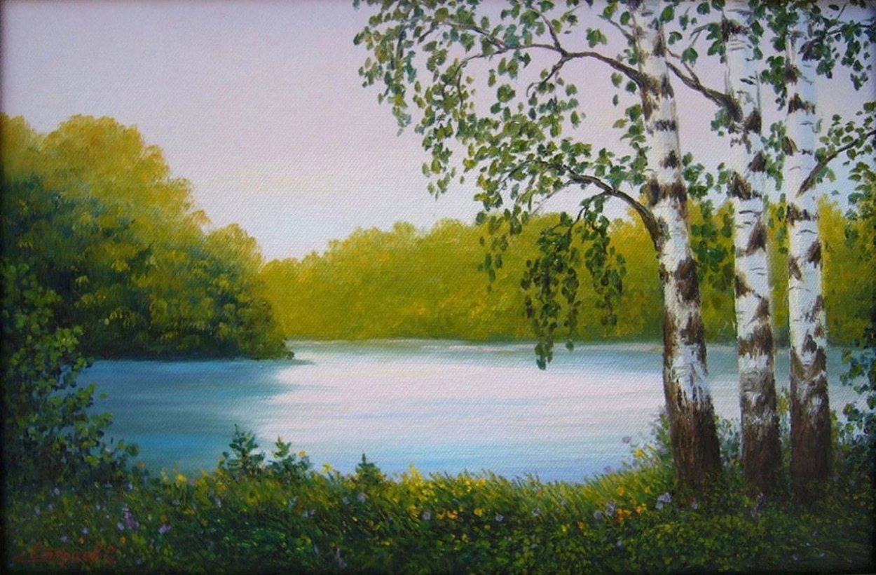 Березы у водоема