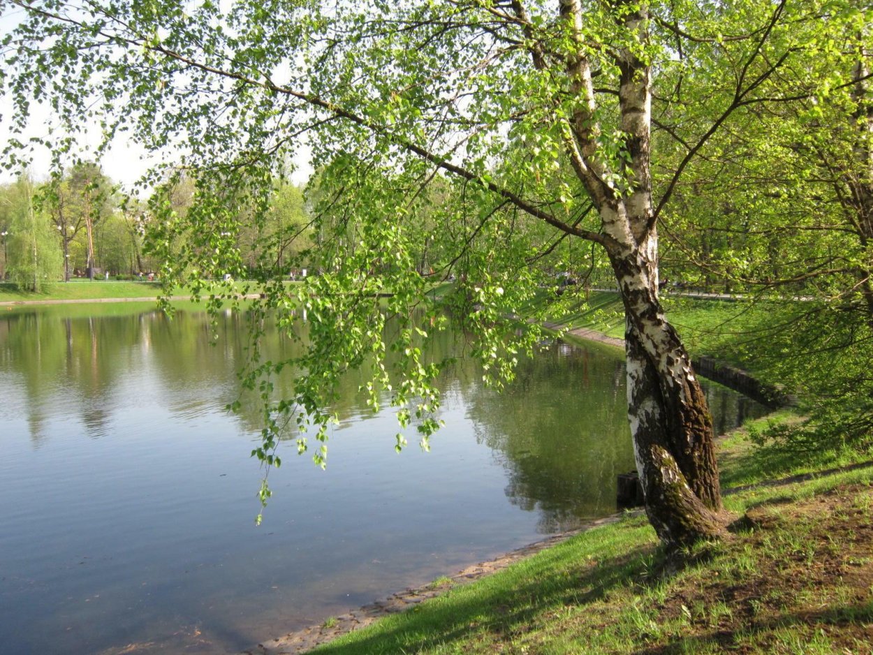 Озеро Березовое Уфа