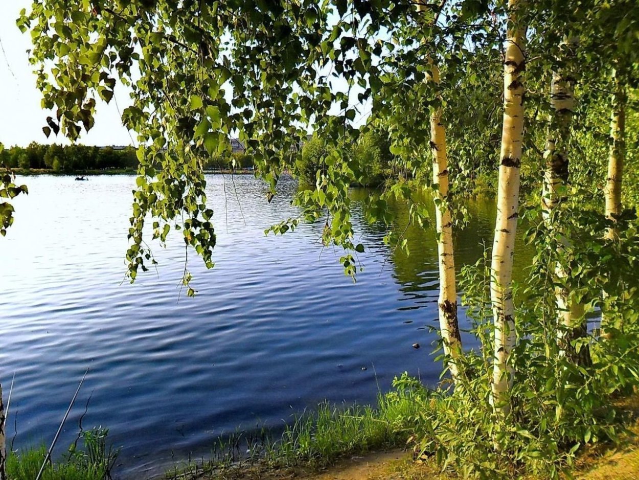 Река береза Смоленская область