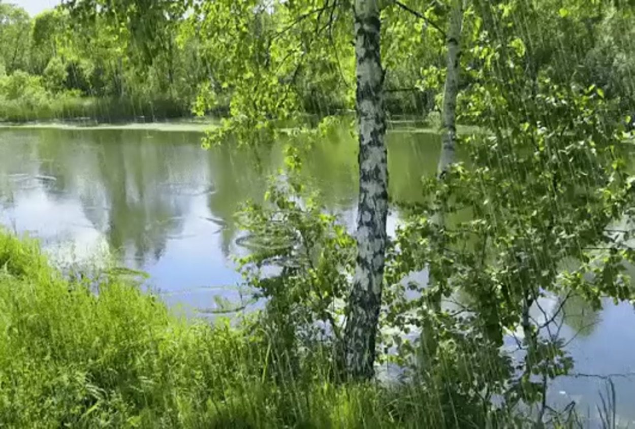 Русская природа гиф