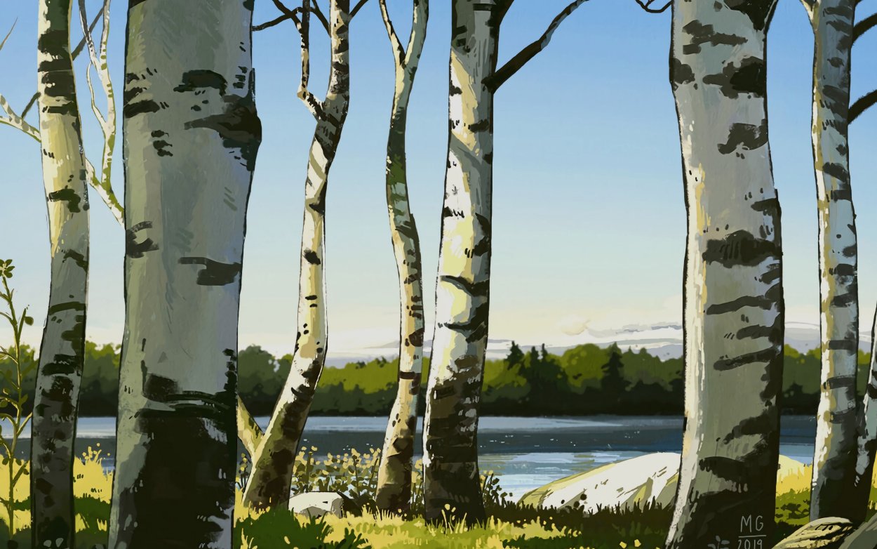 Река берёзы Россия