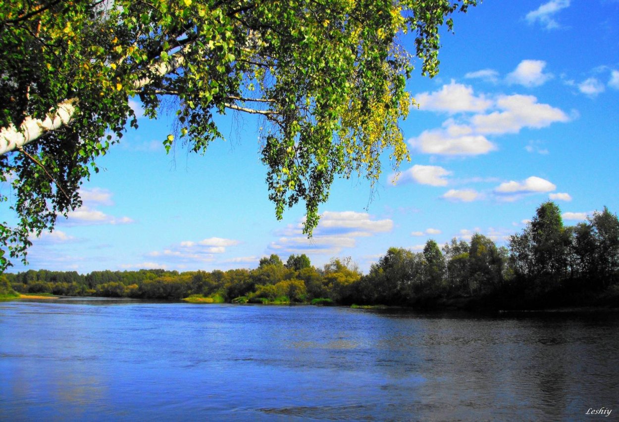 Россия Березка Россия Березка Березка Березка