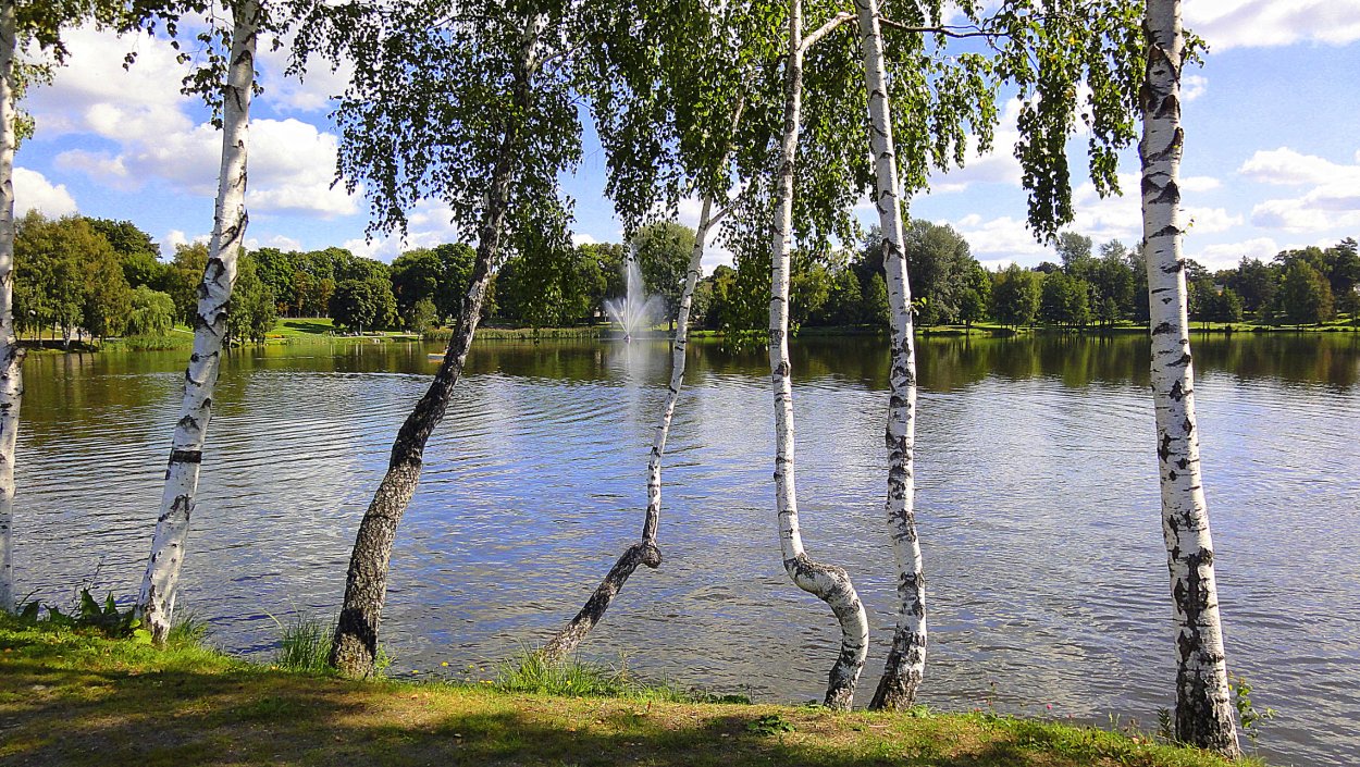 Озеро Березовое Березово