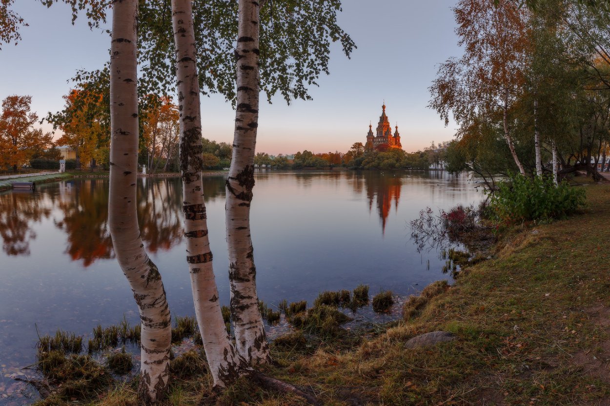 Пейзаж береза Березовая роща озеро