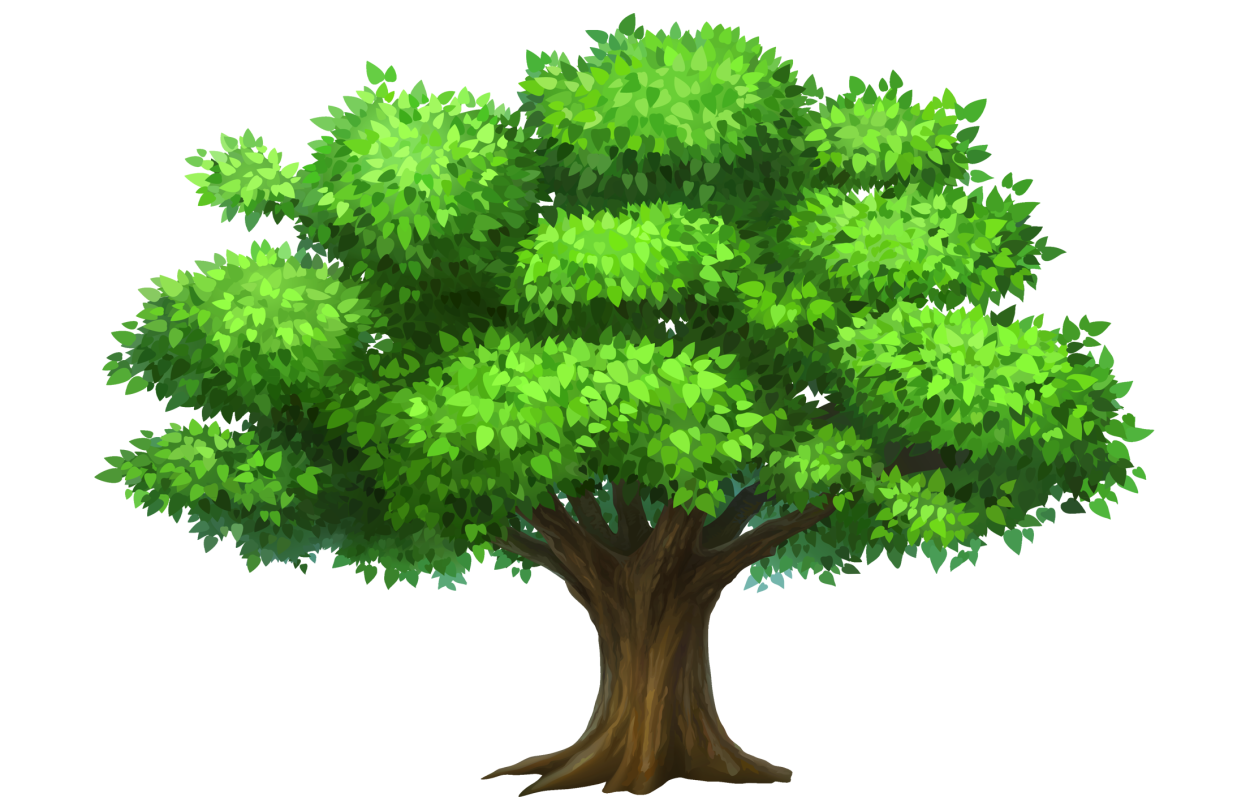 Терек ағашы