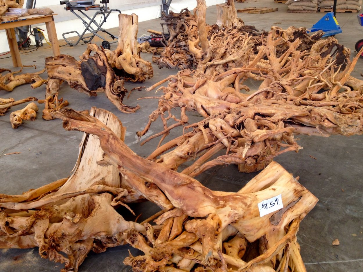 Сандал дерево