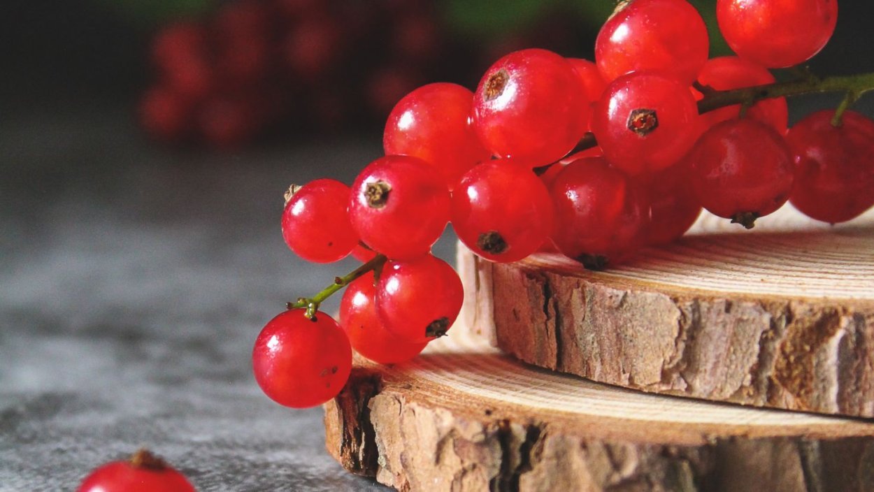 Неспелая вишня