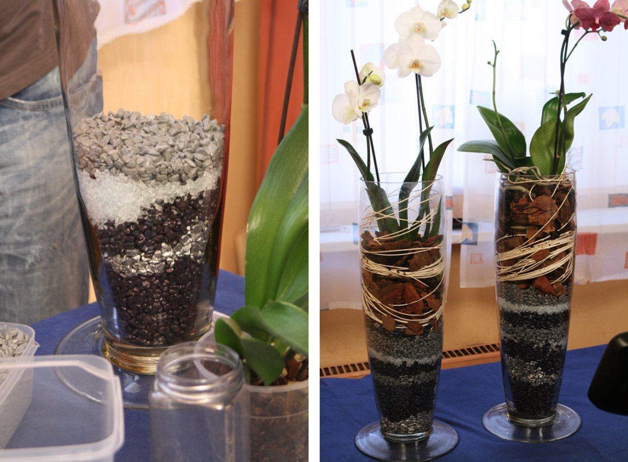 Комнатные растения в горшках на прозрачном