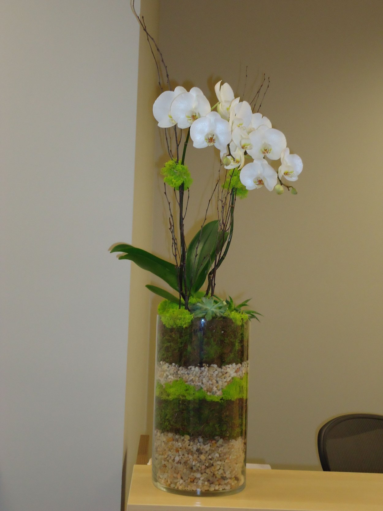 Фаленопсис в стеклянной вазе с грунтом