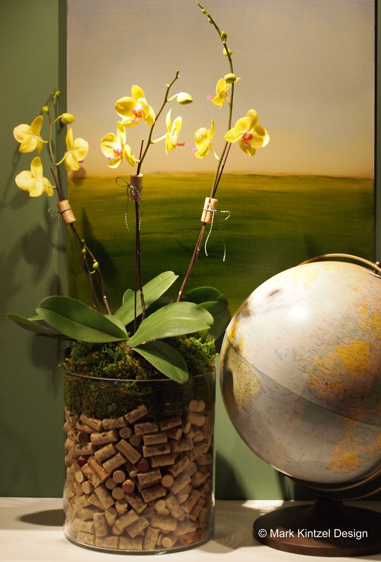 Орхидей в стеклянных горшках с камнями
